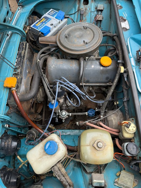 Фото аппвпарыоапгшарлорывл